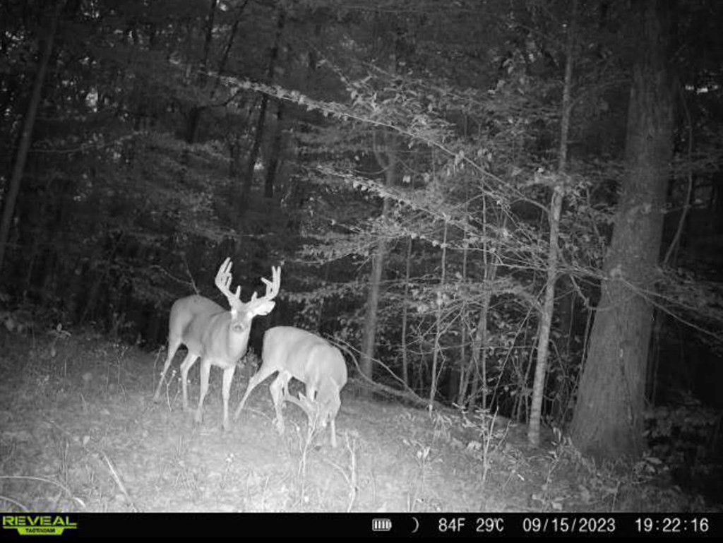 4 Whalen Road Kosciusko, MS 39090 - Photo 10 of 12 Photo 10