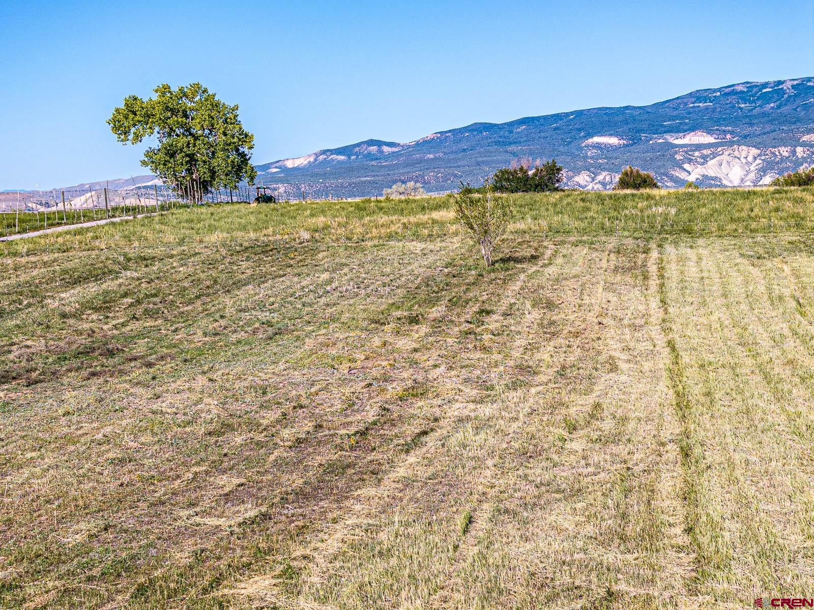 Lot 2 A Bull Mesa Road Cedaredge, CO 81413 - Photo 11 of 19