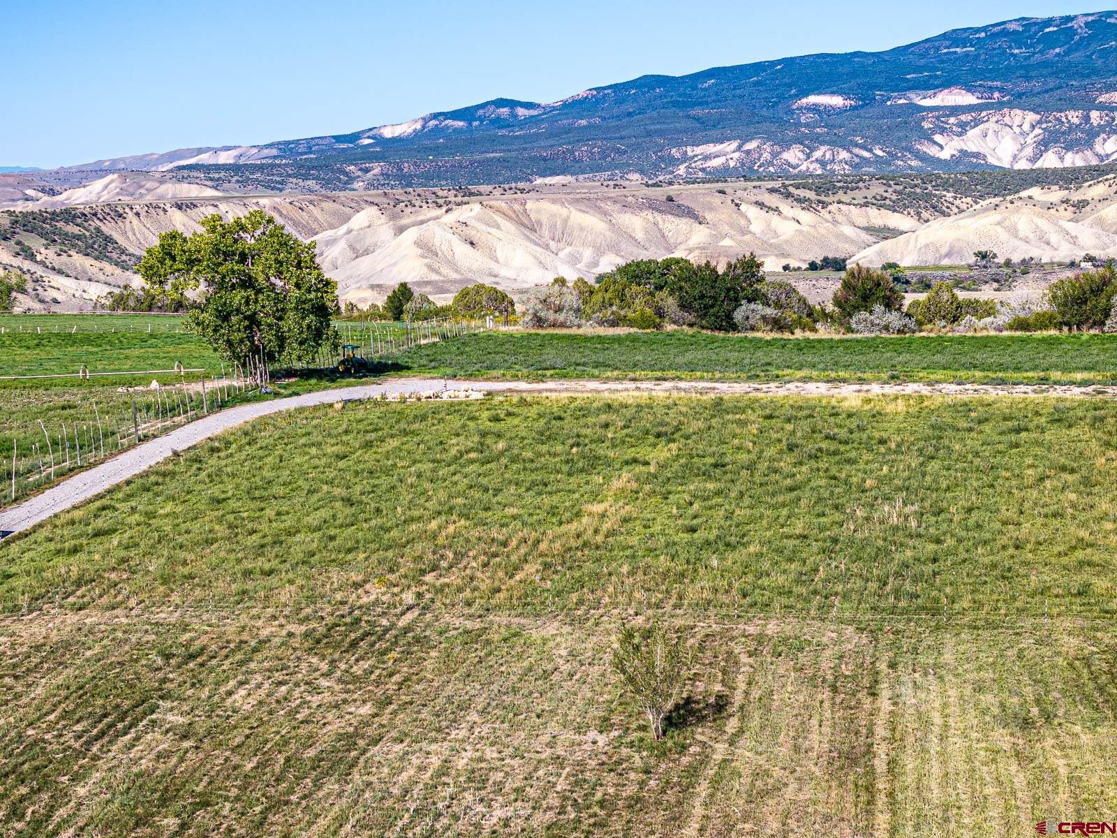 Lot 2 A Bull Mesa Road Cedaredge, CO 81413 - Photo 12 of 19