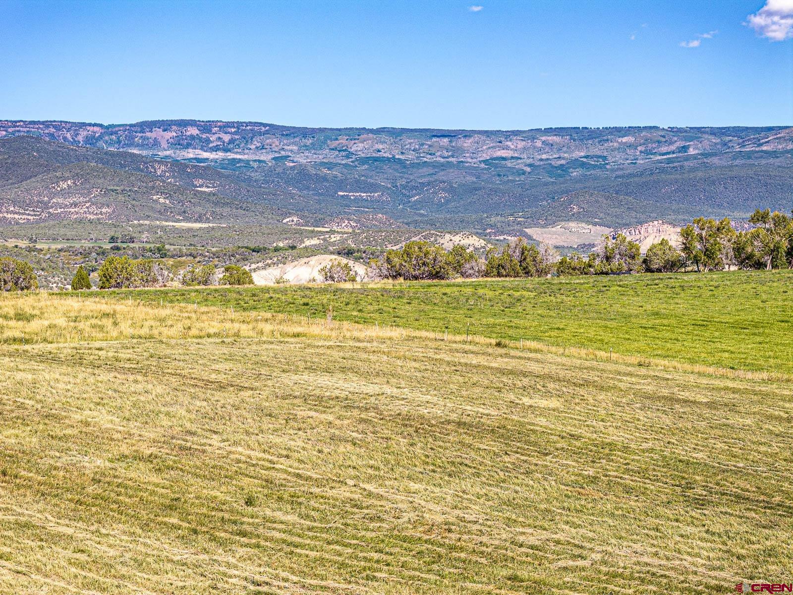 Lot 2 A Bull Mesa Road Cedaredge, CO 81413 - Photo 16 of 19