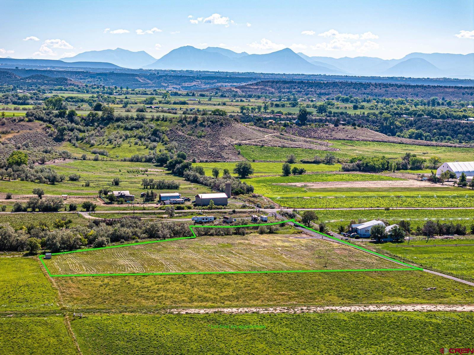 Lot 2 A Bull Mesa Road Cedaredge, CO 81413 - Photo 2 of 19