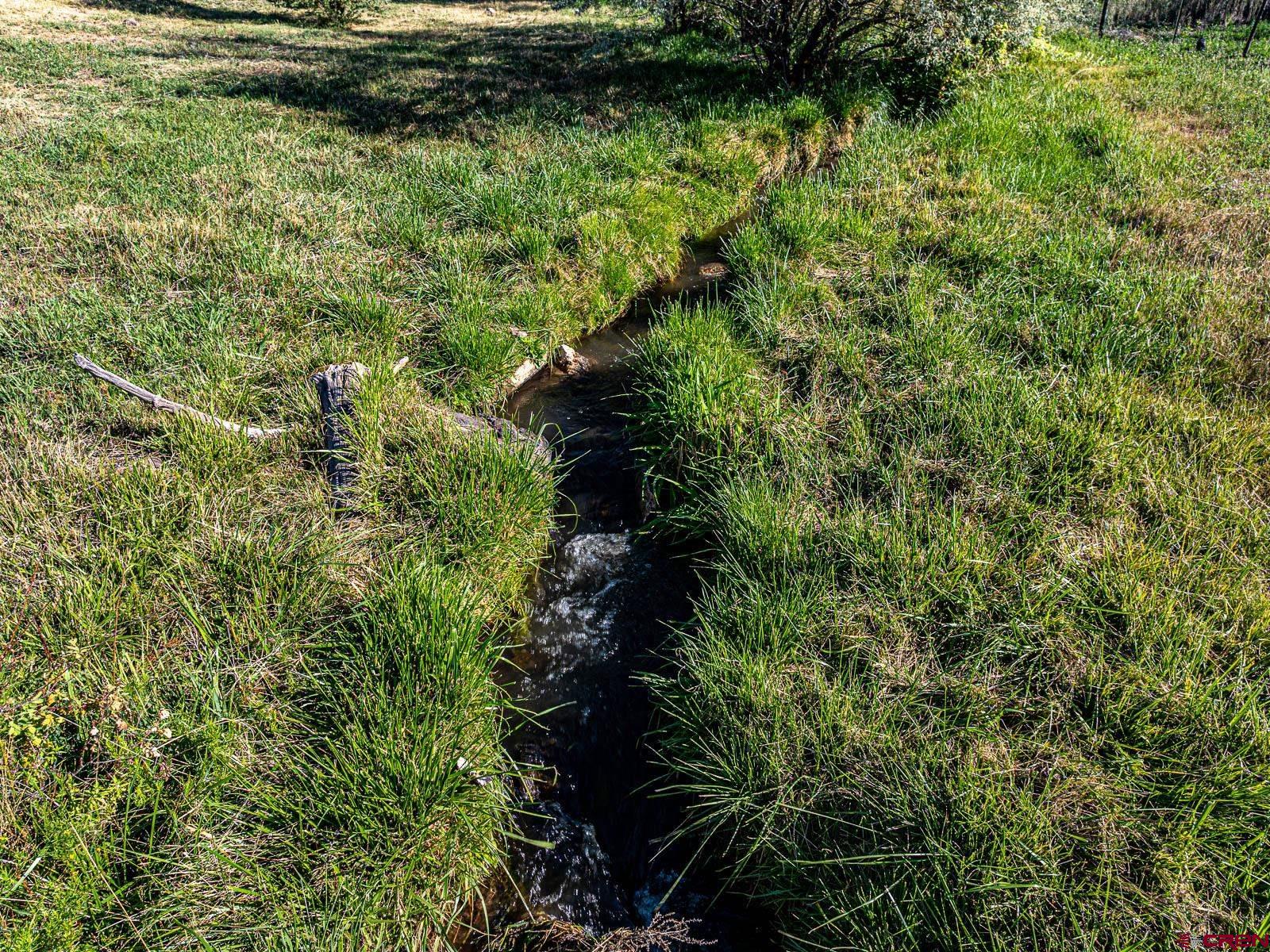 Lot 2 A Bull Mesa Road Cedaredge, CO 81413 - Photo 6 of 19