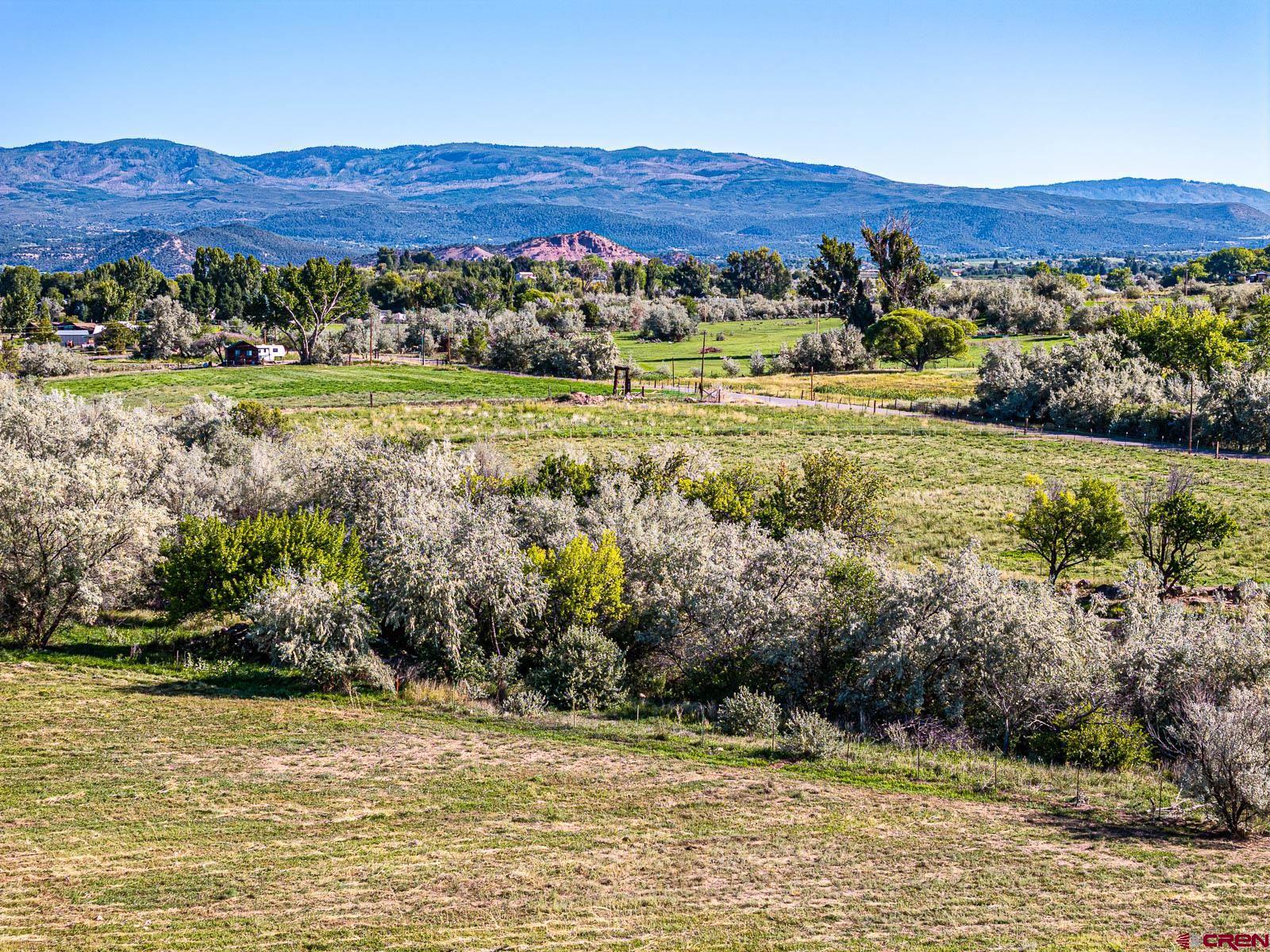 Lot 2 A Bull Mesa Road Cedaredge, CO 81413 - Photo 7 of 19
