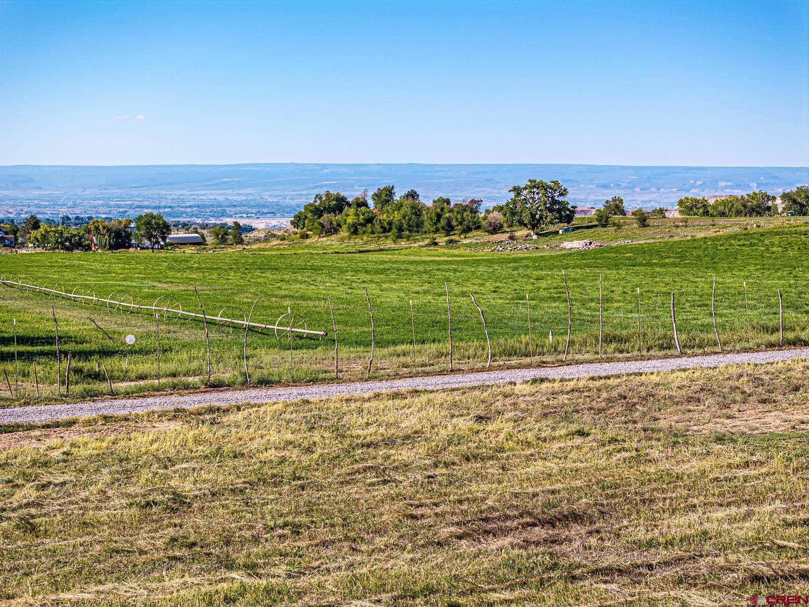 Lot 2 A Bull Mesa Road Cedaredge, CO 81413 - Photo 10 of 19