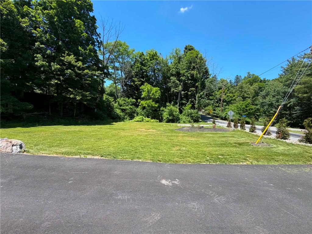 164 Sand Spring Road Cresco, PA 18326 - Photo 53 of 60 A verdant, open lot framed by a vibrant tree line offers a canvas for future development.
