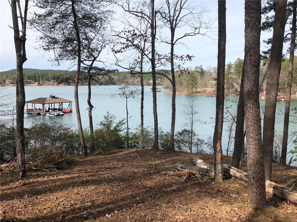 382 Peninsula Ridge Sunset, SC 29685 - Photo 1 of 20 Gallery Image 1