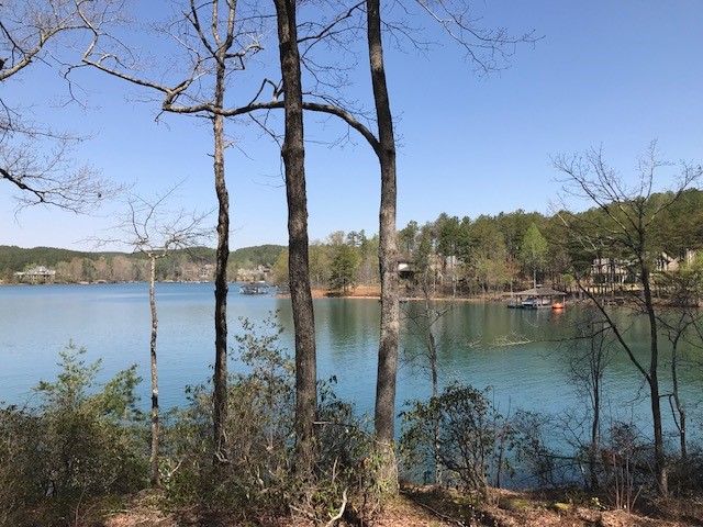 382 Peninsula Ridge Sunset, SC 29685 - Photo 5 of 20 Gallery Image 5
