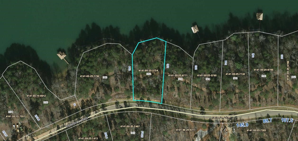 382 Peninsula Ridge Sunset, SC 29685 - Photo 10 of 20 Gallery Image 10
