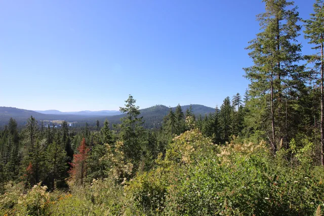 $85,000 | Xxx Buck Creek Road, Newport, WA 99156