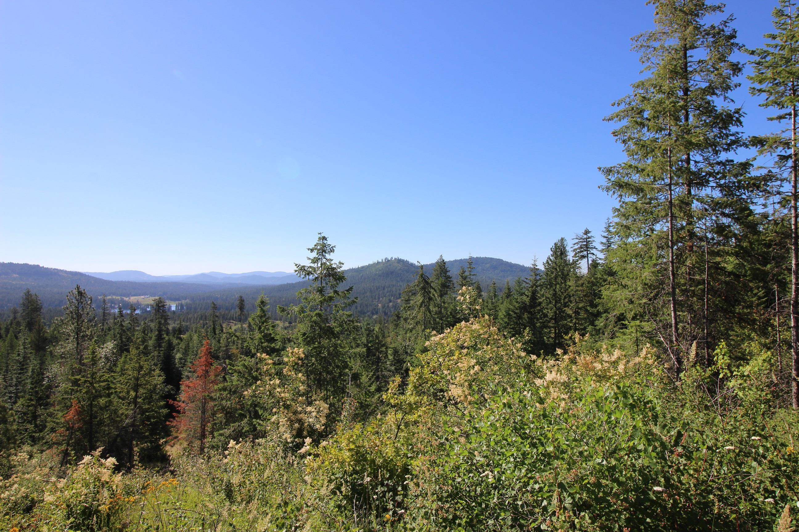 Xxx Buck Creek Road Newport, WA 99156 - Photo 1 of 18