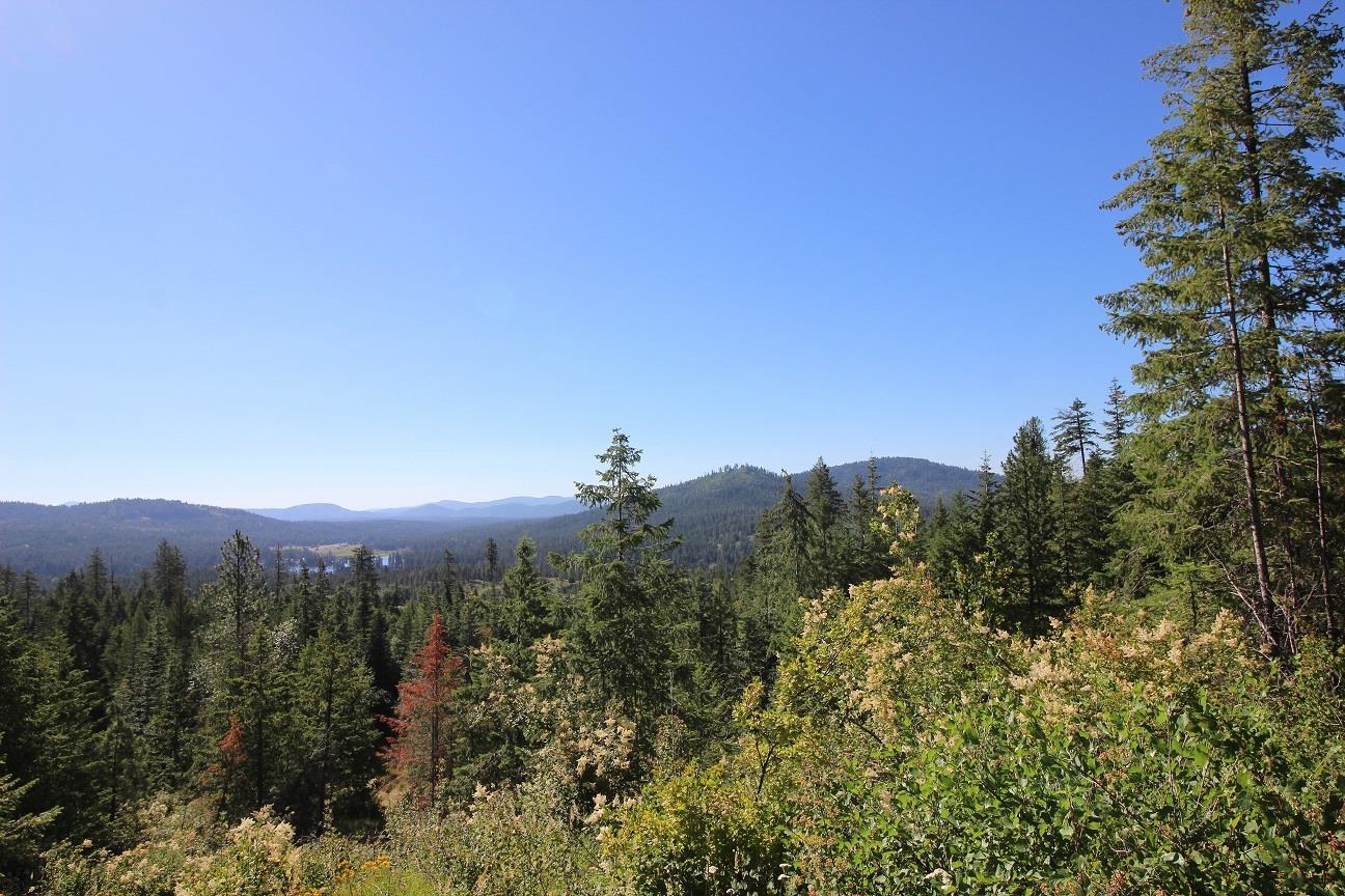 Xxx Buck Creek Road Newport, WA 99156 - Photo 15 of 18