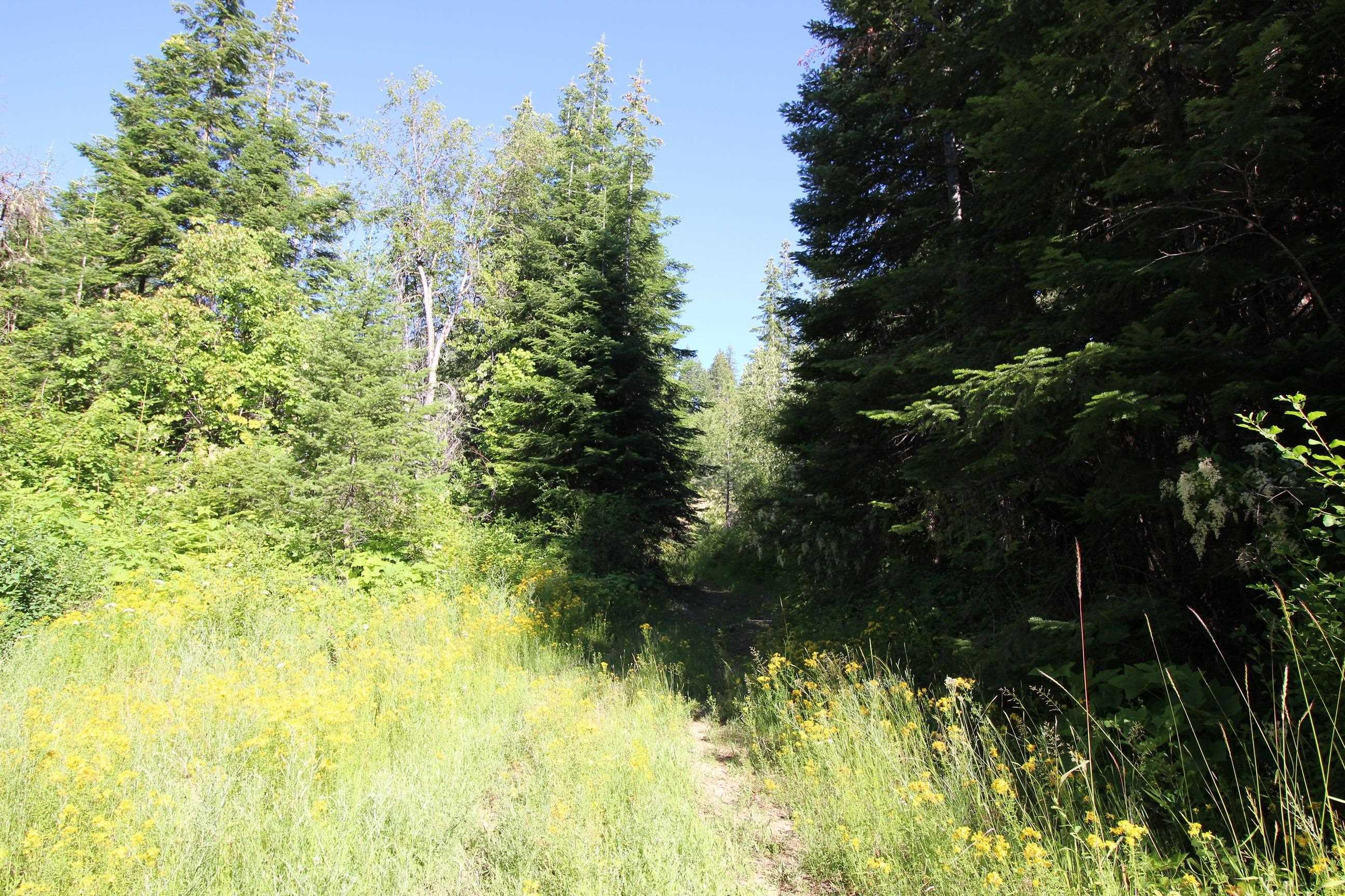 Xxx Buck Creek Road Newport, WA 99156 - Photo 16 of 18