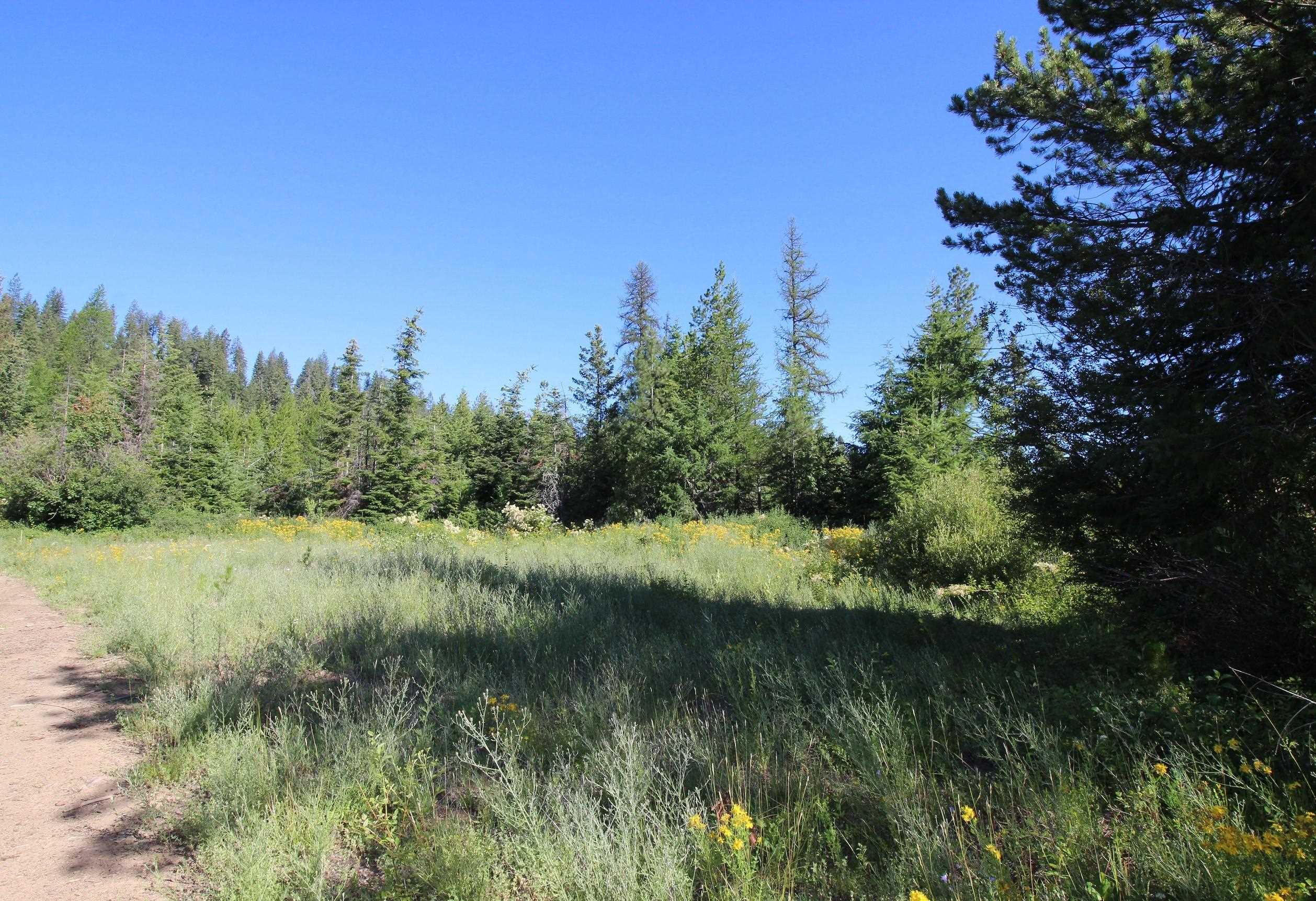 Xxx Buck Creek Road Newport, WA 99156 - Photo 3 of 18