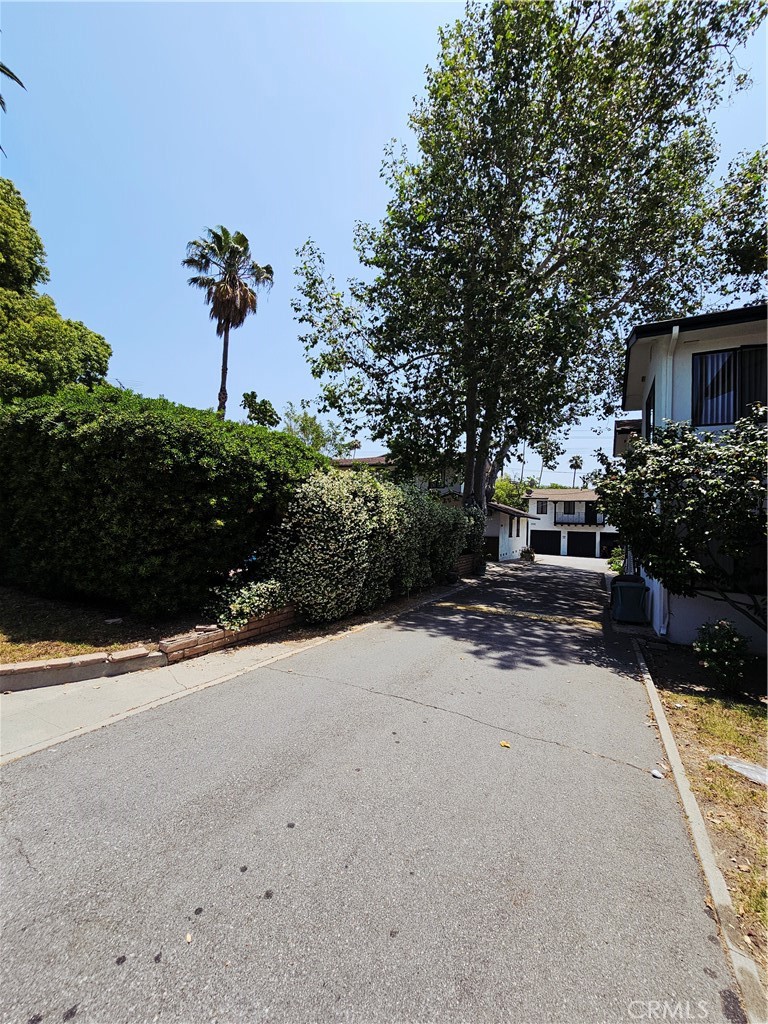 1142 Western Avenue Glendale, CA 91201 - Photo 7 of 23 a view of a street with a flower plants and large trees