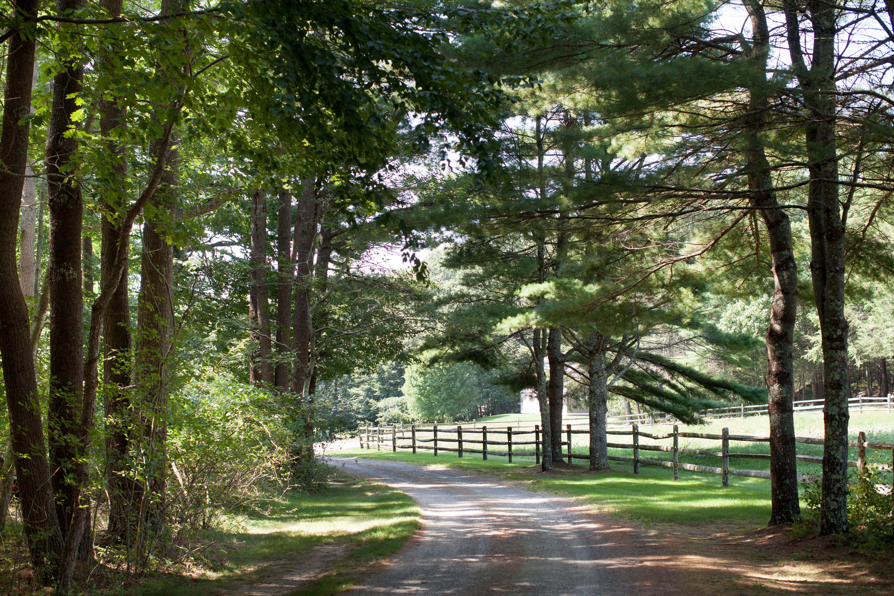 37 Raynes Neck Road York, ME 03909 - Photo 2 of 50 37 Raynes Neck Road