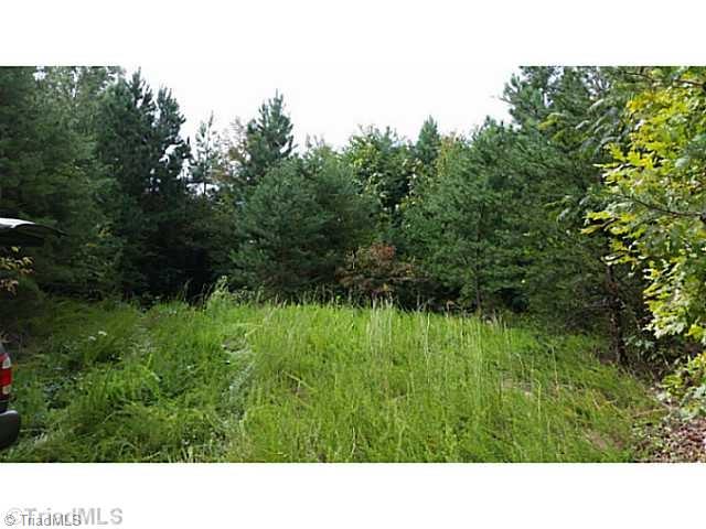 20 Poteat Road Mount Airy, NC 27030 - Photo 3 of 4 Gallery Image 3