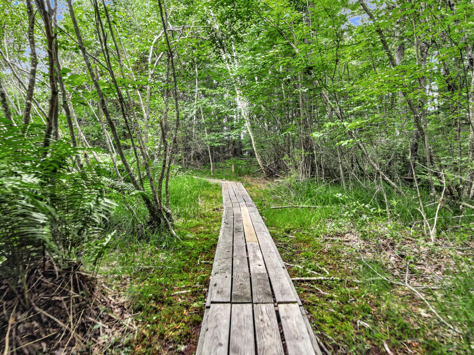 102 Chester Thwing Road Belgrade, ME 04917 - Photo 152 of 163 25_DJI_0980_DxO_mls