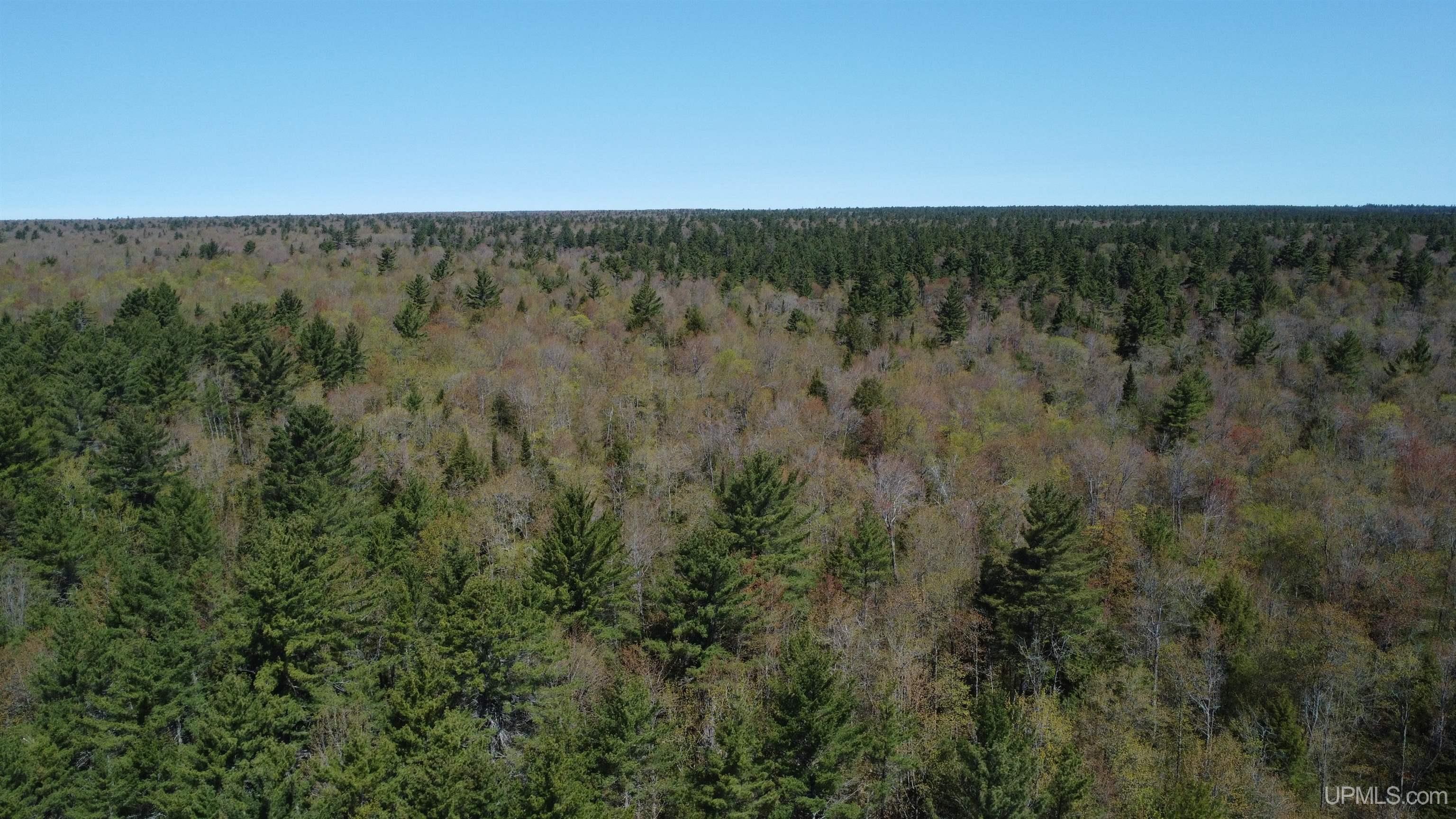 Off Adams Trail Shingleton, MI 49884 - Photo 9 of 46