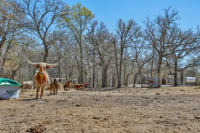 a view of a yard covered with snow in the yard