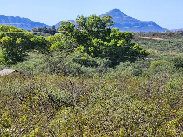 a view of a lush green hillside and a houses