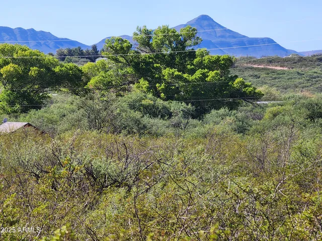 a view of a lush green hillside and a houses