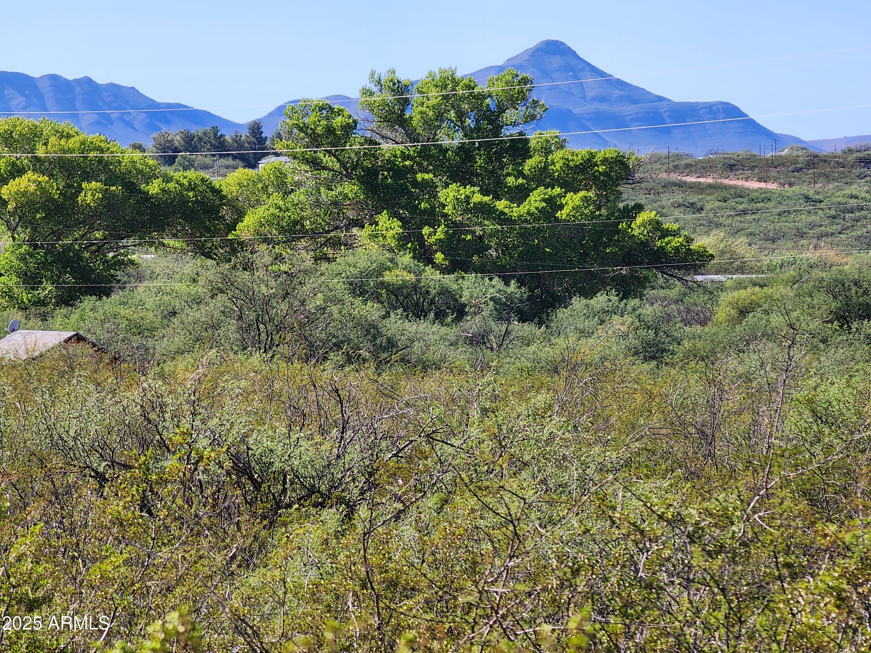 a view of a lush green hillside and a houses