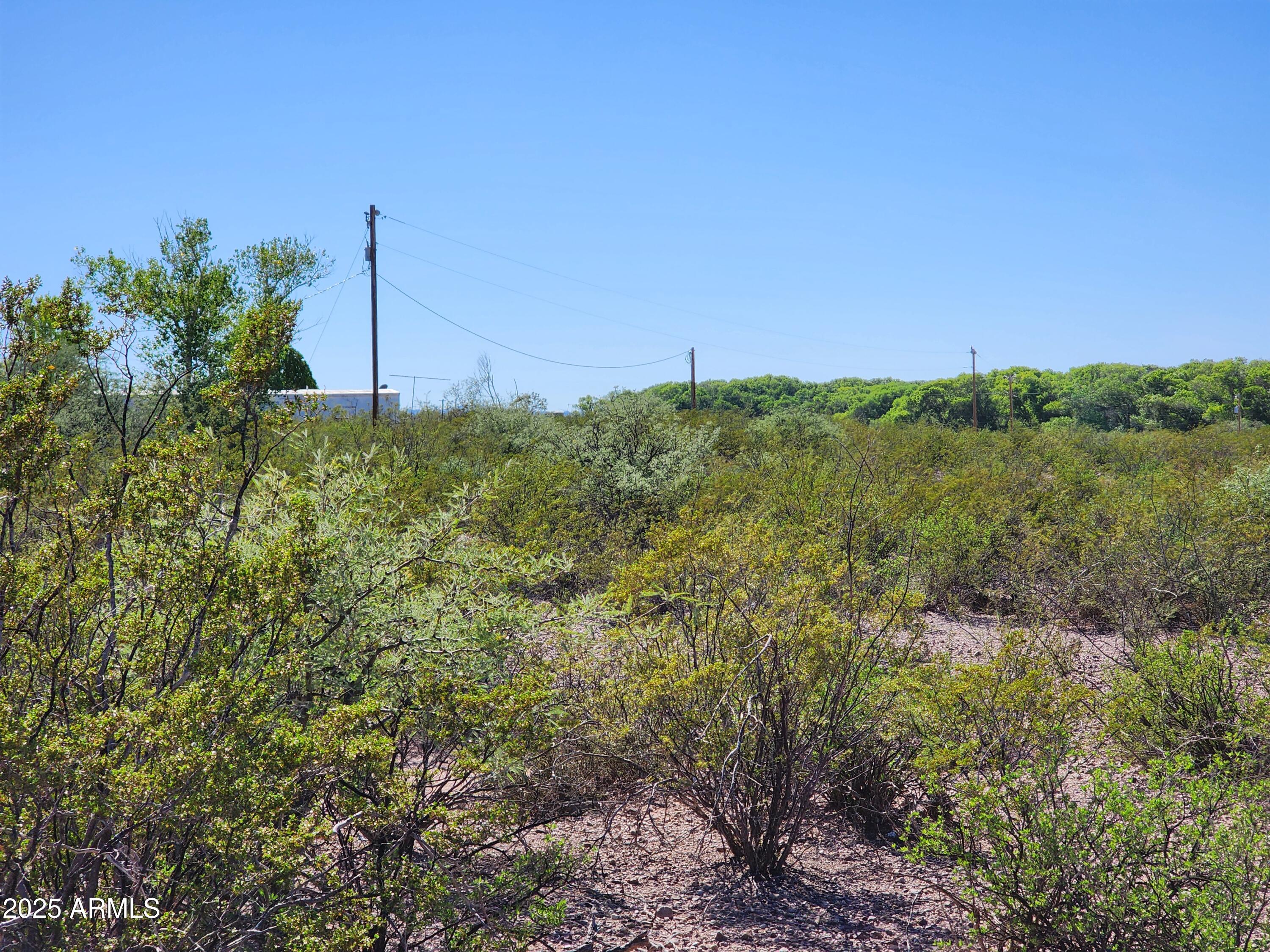 14 C Willcox 014c Road, Unit 5 Huachuca City, AZ 85616 - Photo 2 of 9 a view of a garden with a tree in the background