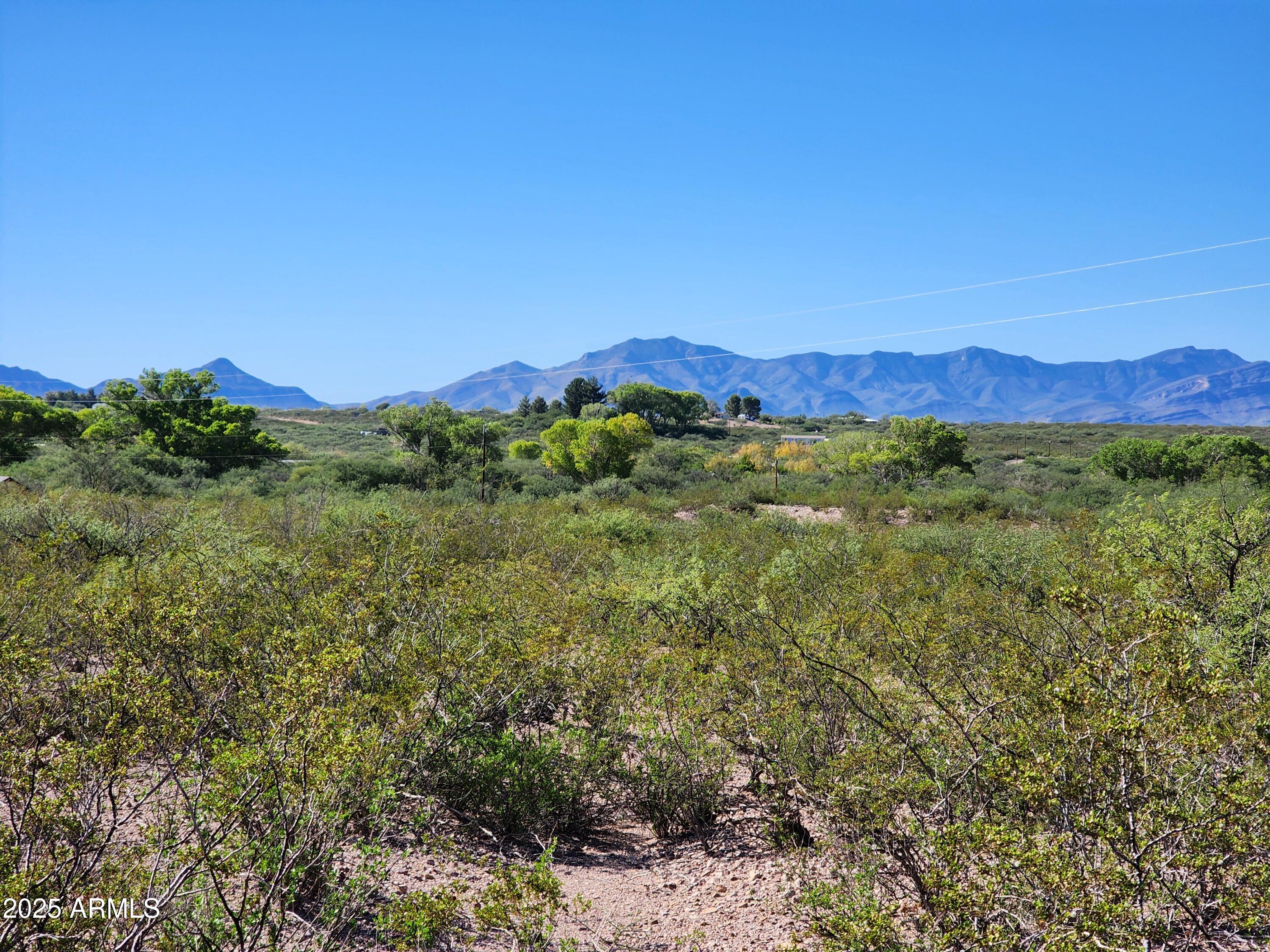 14 C Willcox 014c Road, Unit 5 Huachuca City, AZ 85616 - Photo 4 of 9 a view of a lush green forest with a house in the background