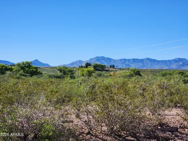 a view of a green field with lots of bushes