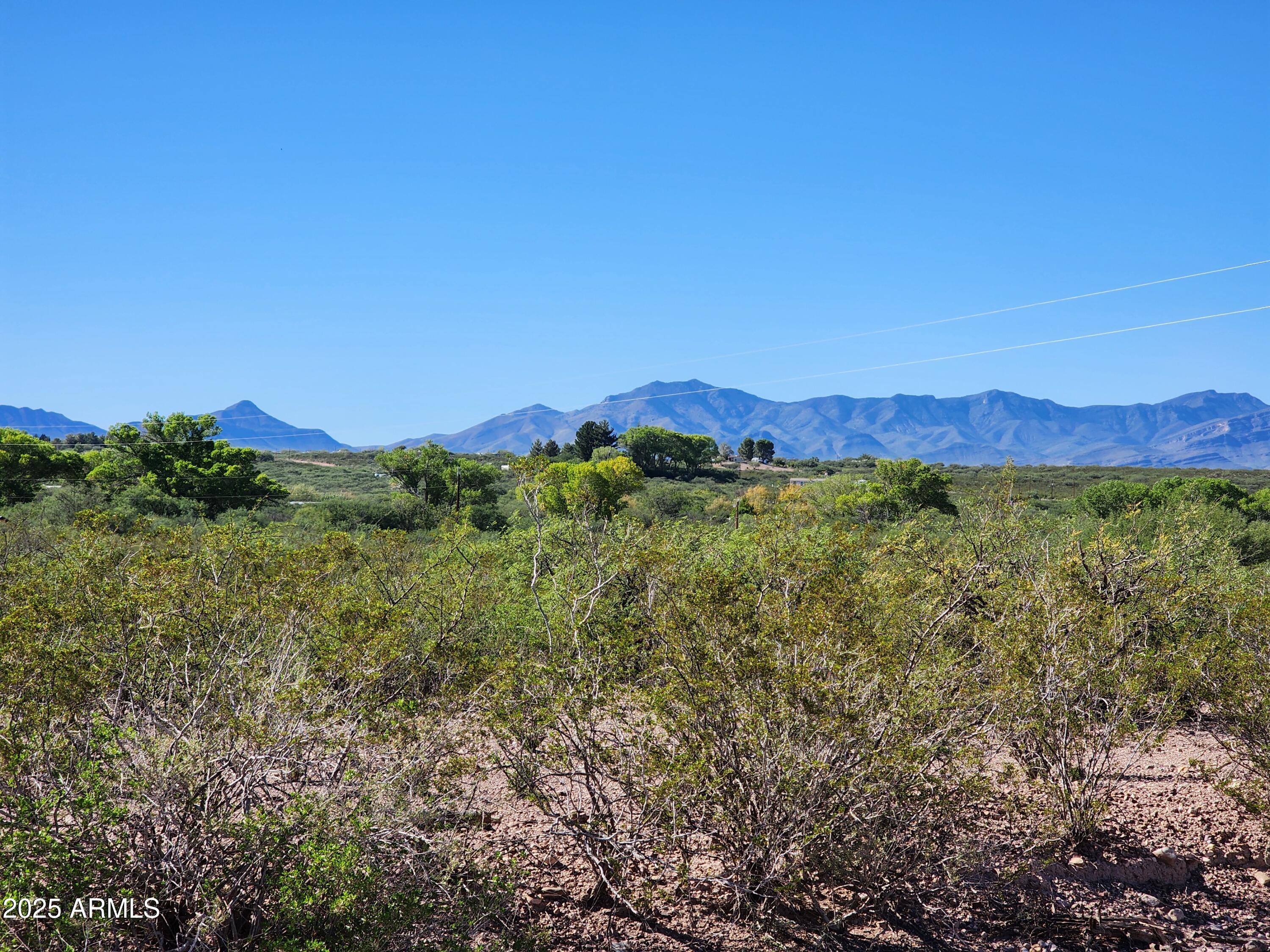 14 C Willcox 014c Road, Unit 5 Huachuca City, AZ 85616 - Photo 7 of 9 a view of a green field with lots of bushes