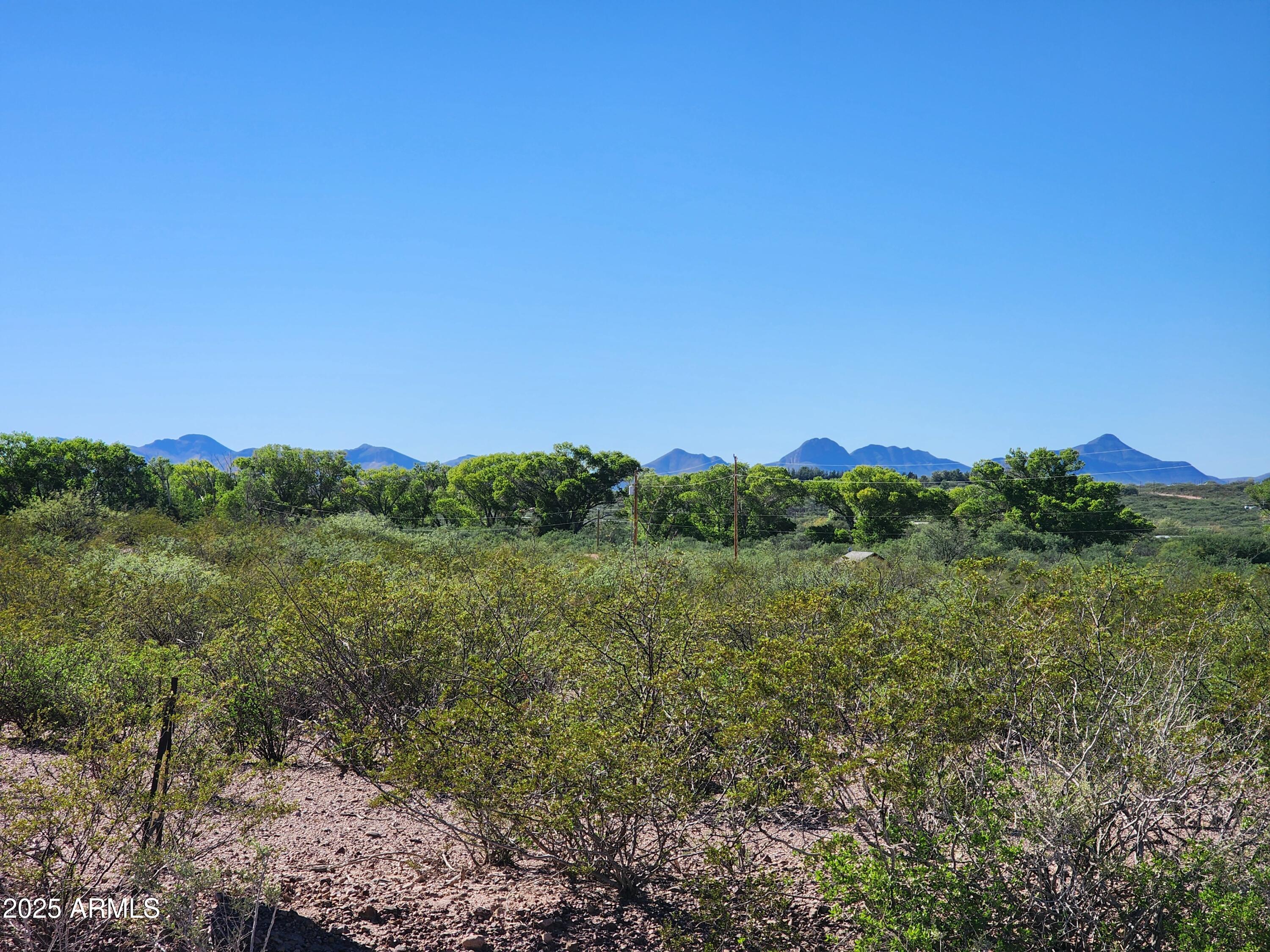 14 C Willcox 014c Road, Unit 5 Huachuca City, AZ 85616 - Photo 8 of 9 a view of a lush green forest with lots of tall trees