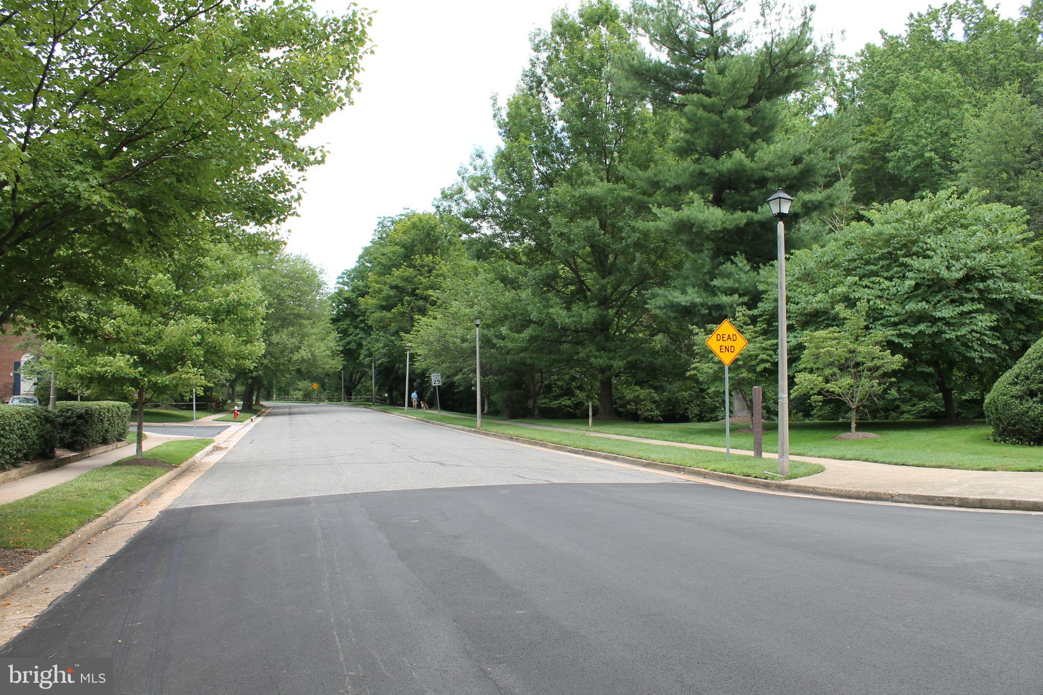 9896 Cardinal Road Fairfax, VA 22030 - Photo 39 of 44 a view of a basketball court
