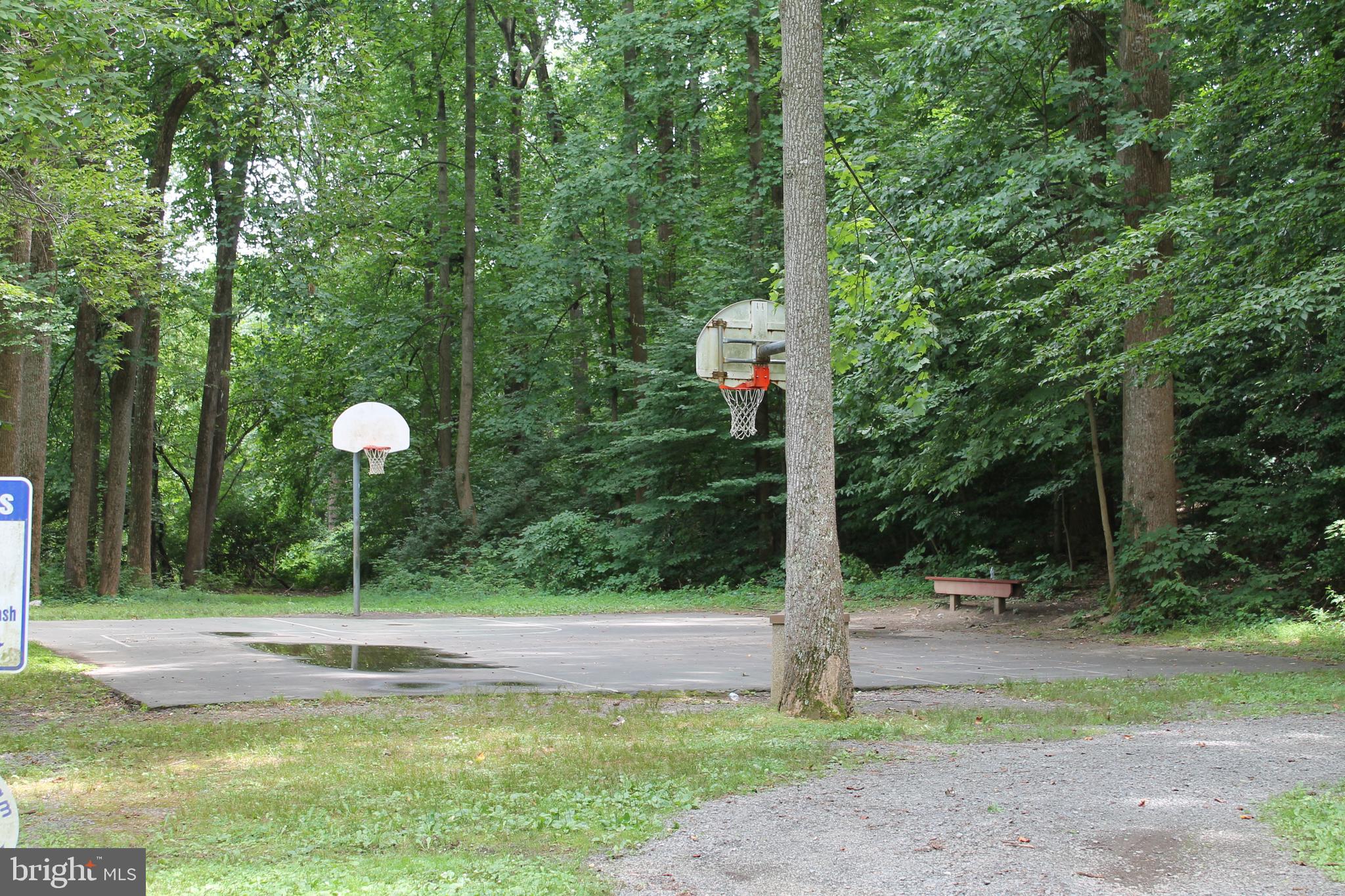 9896 Cardinal Road Fairfax, VA 22030 - Photo 6 of 9 Nearby basketball court