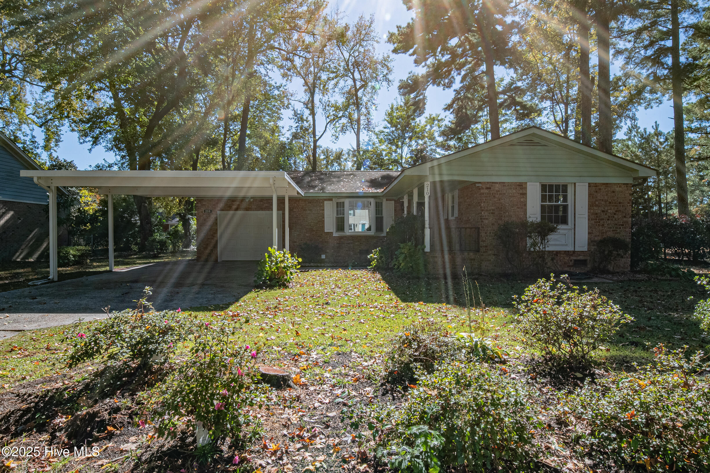 210 Westhaven Road Greenville, NC 27834 - Photo 4 of 43 3