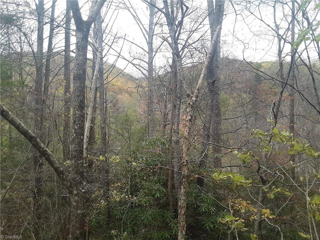 2238 Longbottom Road Hays, NC 28635 - Photo 20 of 22