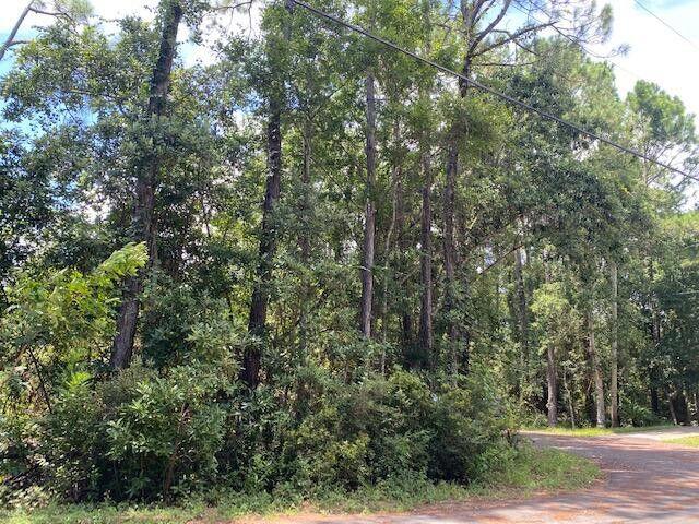 2825 Teepee Road Navarre, FL 32566 - Photo 3 of 12 a view of a forest with trees in front of it