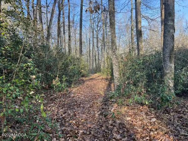 1068 Lamar Road Macon, GA 31210 - Photo 32 of 39 a view of a forest with trees