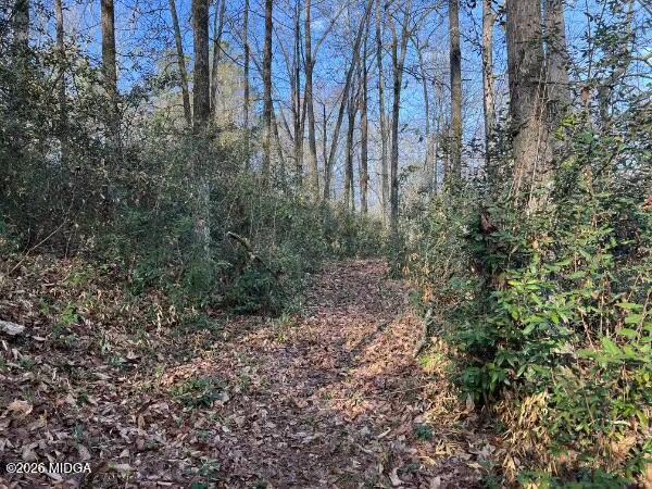 1068 Lamar Road Macon, GA 31210 - Photo 33 of 39 a view of a yard with large trees