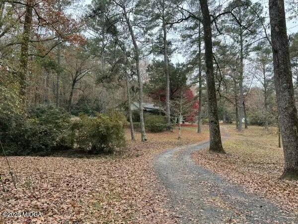 1068 Lamar Road Macon, GA 31210 - Photo 34 of 39 a view of a forest with trees