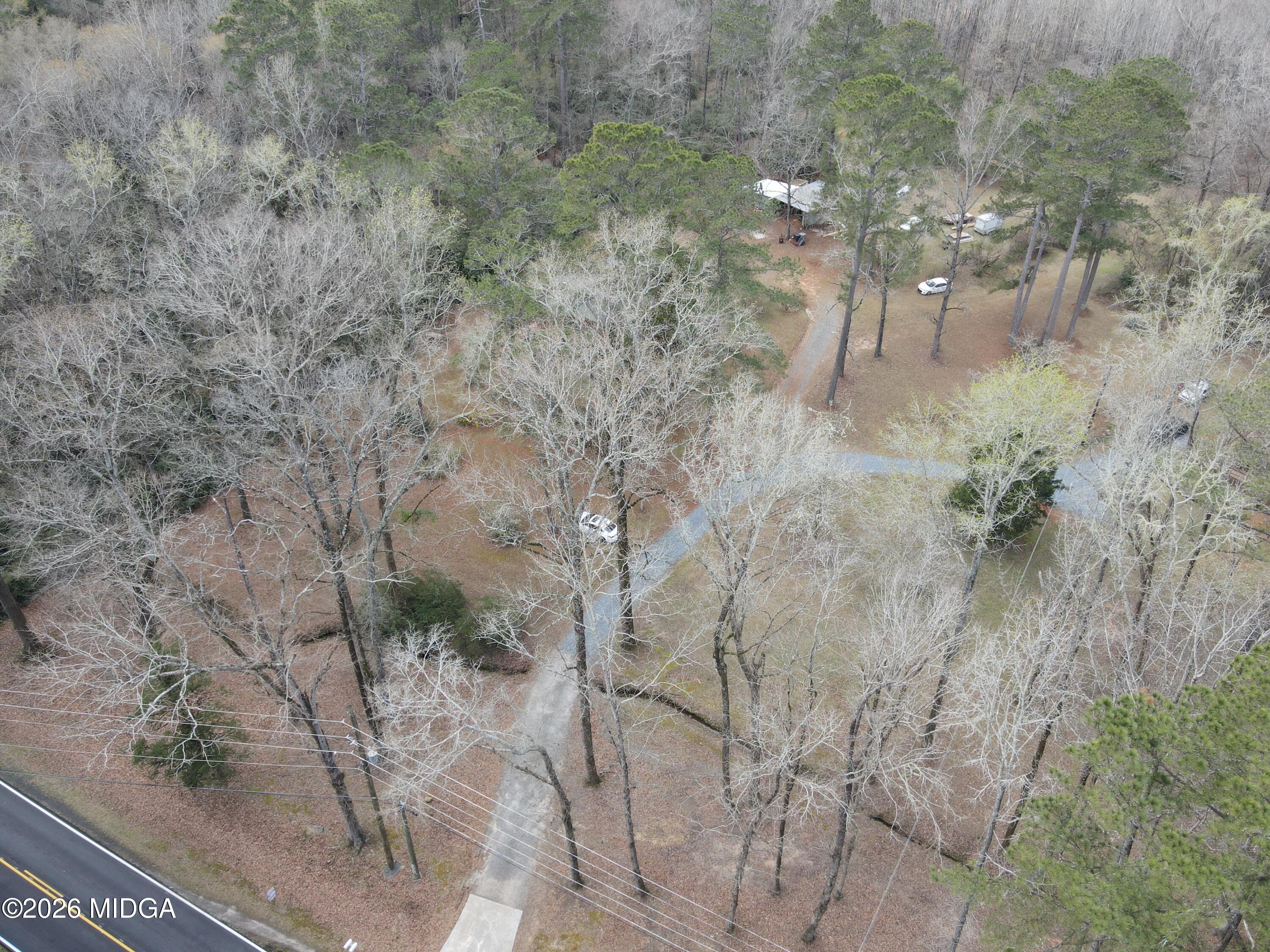 1068 Lamar Road Macon, GA 31210 - Photo 39 of 39 a view of a yard with a tree