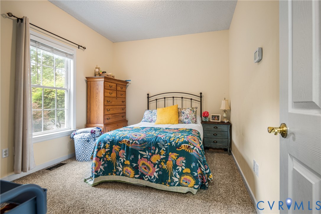 13331 Walke Pointe Way Chesterfield, VA 23832 - Photo 22 of 55