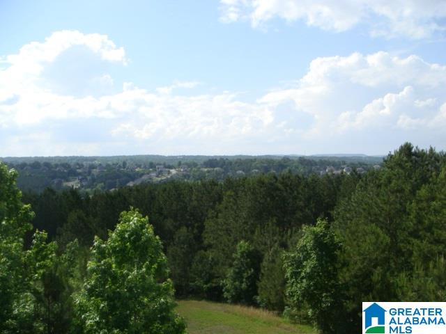 7315 Old Acton Road Moody, AL 35004 - Photo 7 of 28