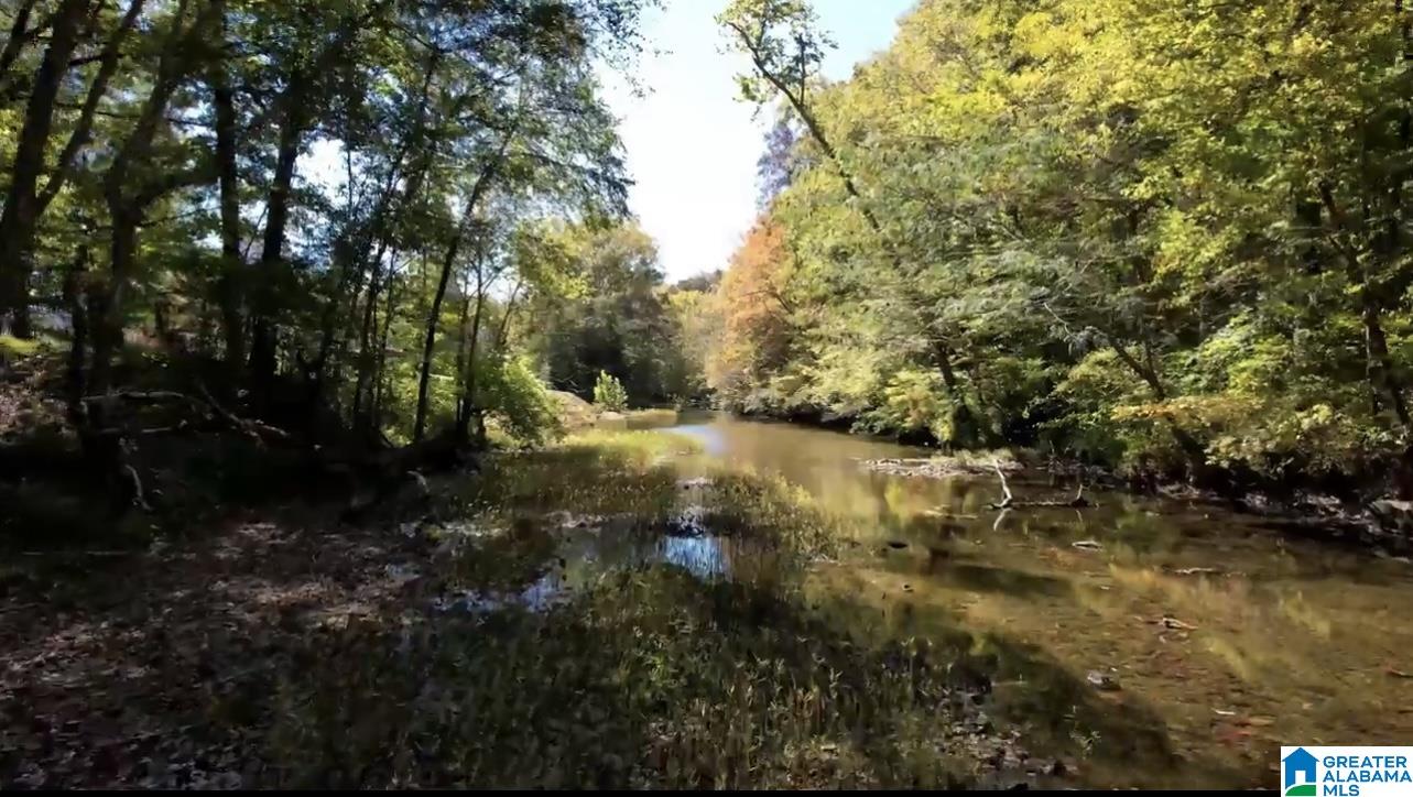 934 Fred Walker Road Oneonta, AL 35121 - Photo 76 of 78