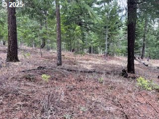 Kida Road, Unit 2 White Salmon, WA 98672 - Photo 2 of 6