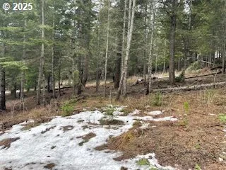 $265,000 | Kida Road, Unit 2, White Salmon, WA 98672