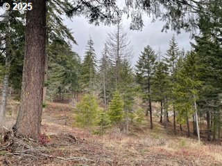 Kida Road, Unit 2 White Salmon, WA 98672 - Photo 4 of 6