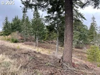 $265,000 | Kida Road, Unit 2, White Salmon, WA 98672