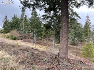 Kida Road, Unit 2 White Salmon, WA 98672 - Photo 5 of 6