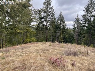 Kida Road, Unit 2 White Salmon, WA 98672 - Photo 6 of 6