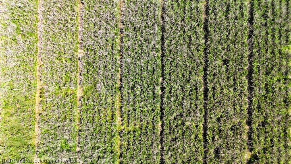 0 West St Road Wauchula, FL 33873 - Photo 9 of 24